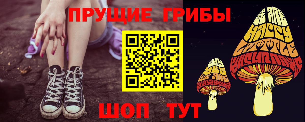 Псилоцибиновые грибы мицелий  Вход с VPN  Котовск 